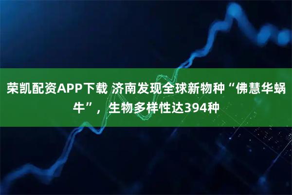 荣凯配资APP下载 济南发现全球新物种“佛慧华蜗牛”，生物多样性达394种